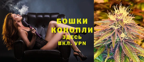 эйфоретик Белокуриха