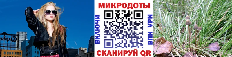 купить наркотик  Чусовой  kraken ТОР  Псилоцибиновые грибы MAGIC MUSHROOMS 